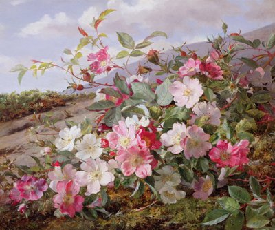 Eglantine, 1883 by William Jabez Muckley